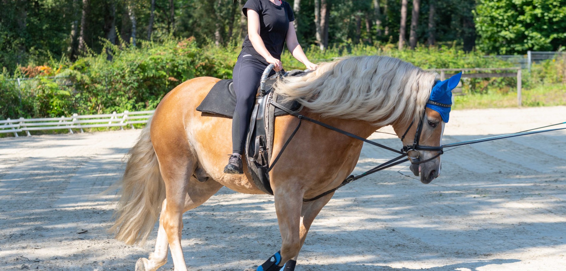 Das Bild zeigt ein Mädchen auf einem Pferd im Rahmen der Reittherapie.