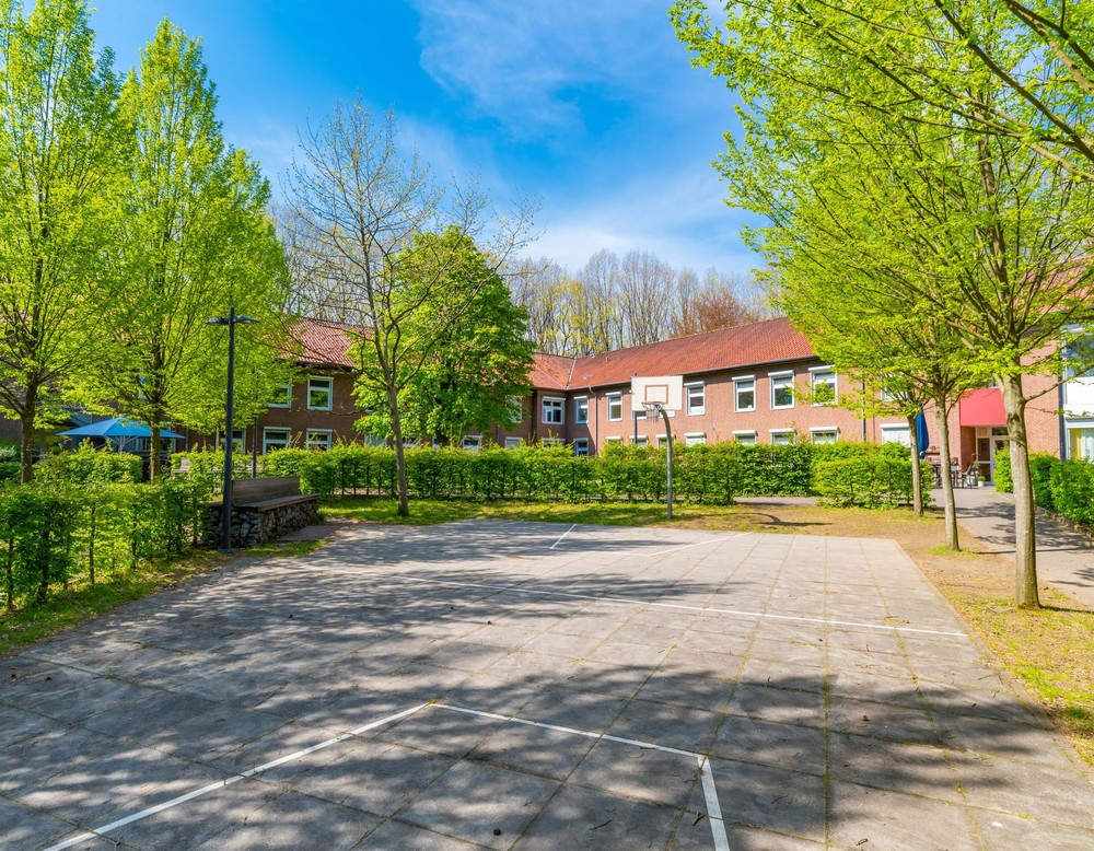 Das Bild zeigt einen Basketballplatz, der von grünen Bäumen und Sträuchern umgeben ist. Im Hintergrund befindet sich ein großes Backsteingebäude.